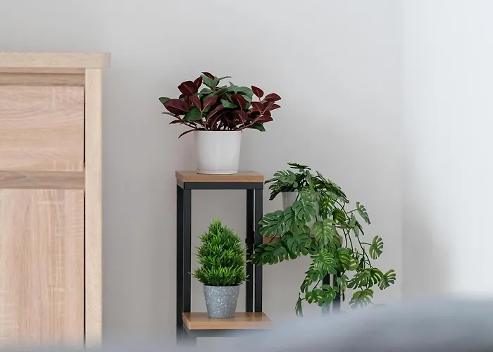 Daire Subtle In With Parking Close To The Airport By Renters